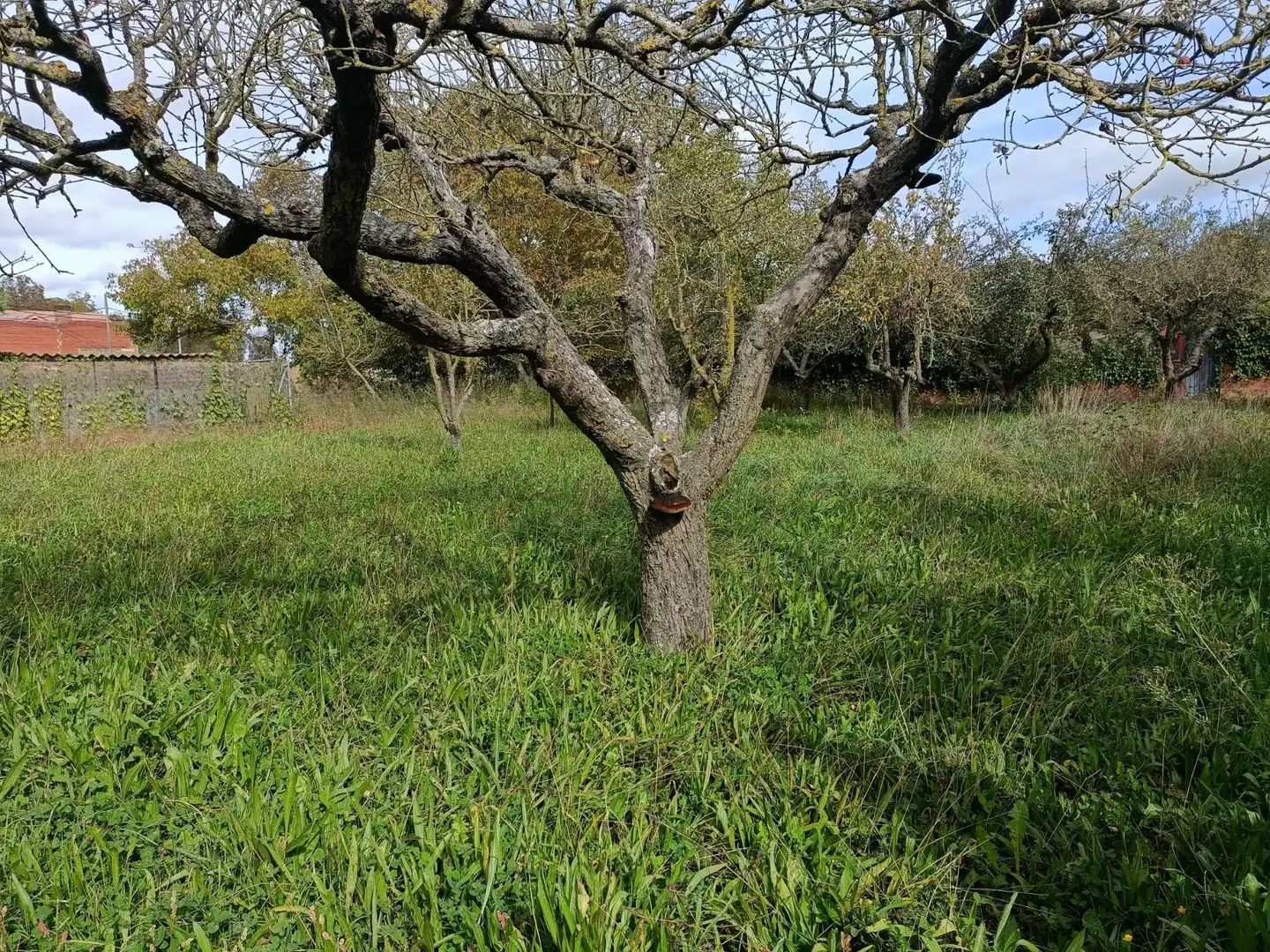 Wohnbaugrundstück zum Verkauf in Calle CACHAN-VR, imagen 26