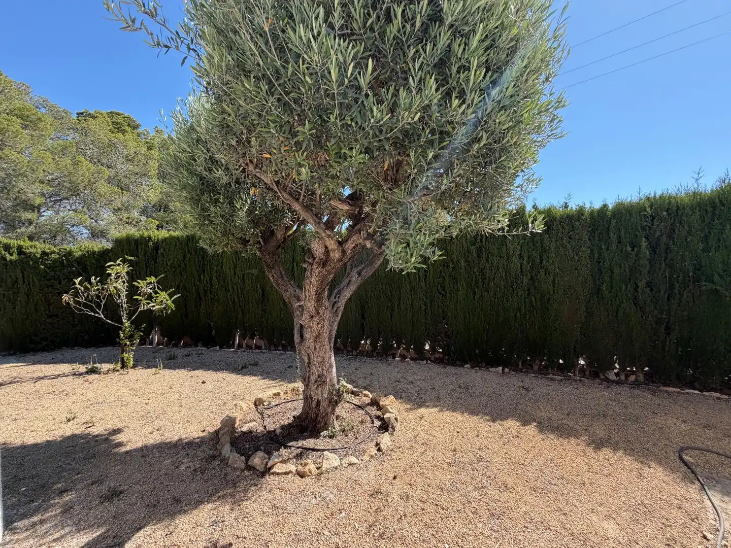 Jardín de Casa o chalet en venta en La Nucia con Aire acondicionado, Calefacción y Jardín privado