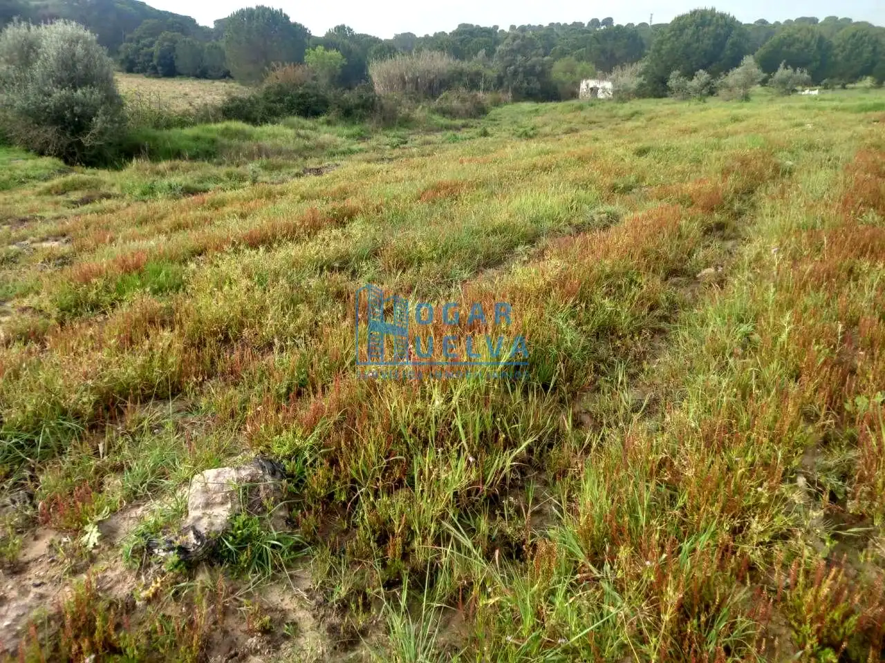 Terreni e lotti in vendita a ALJARAQUE, imagen 5