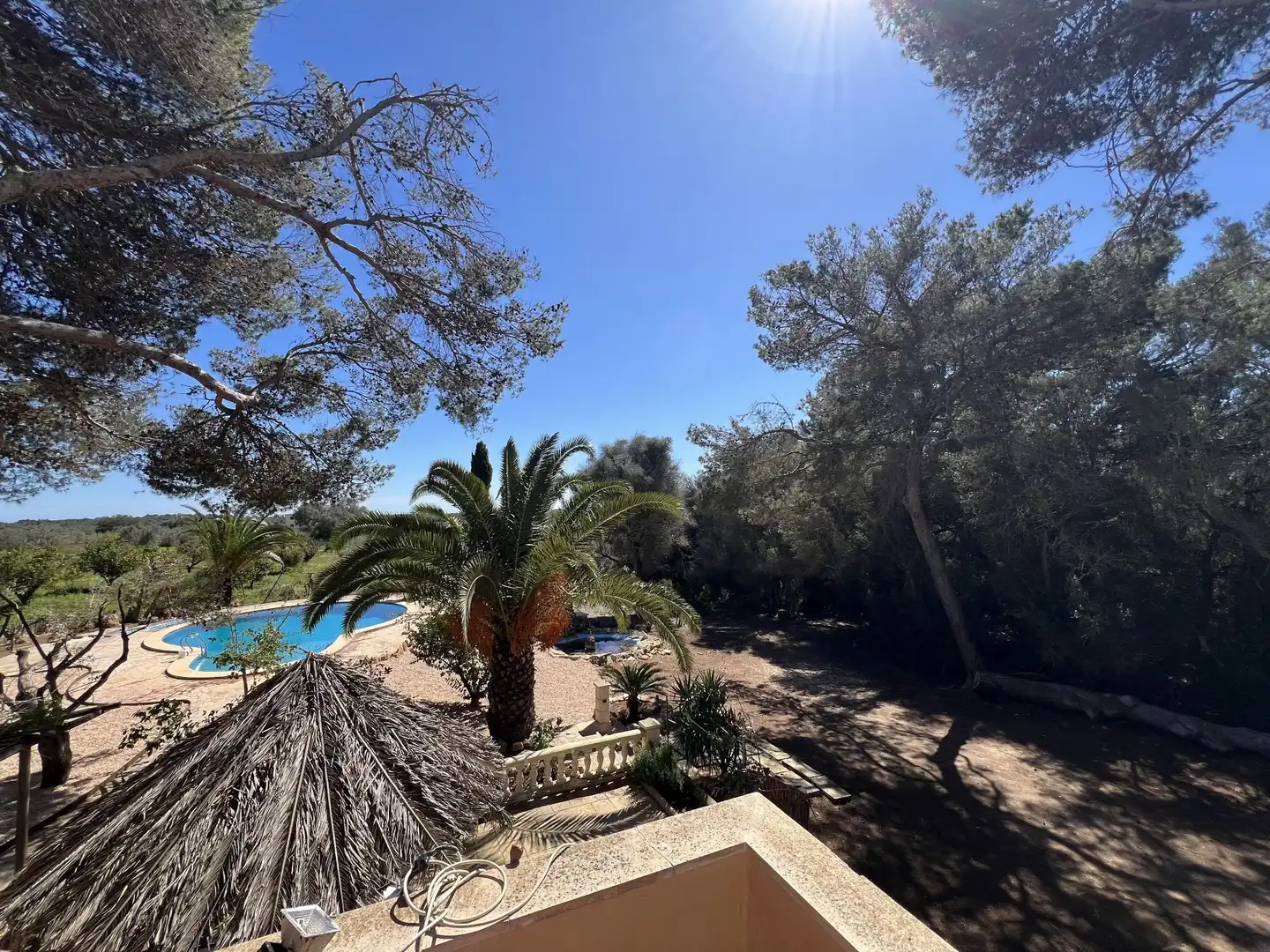 Jardí de Finca rústica de lloguer en Ses Salines amb Calefacció, Jardí privat i Piscina