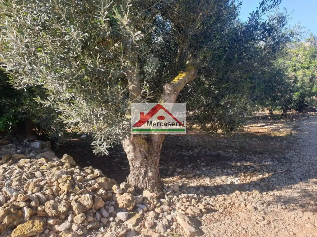 Grundstücke und Bauplätze zum Verkauf in Alcanar, imagen 10