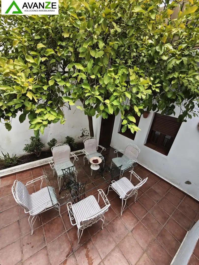 House with terrace for sale in Villanueva del Fresno, imagen 19
