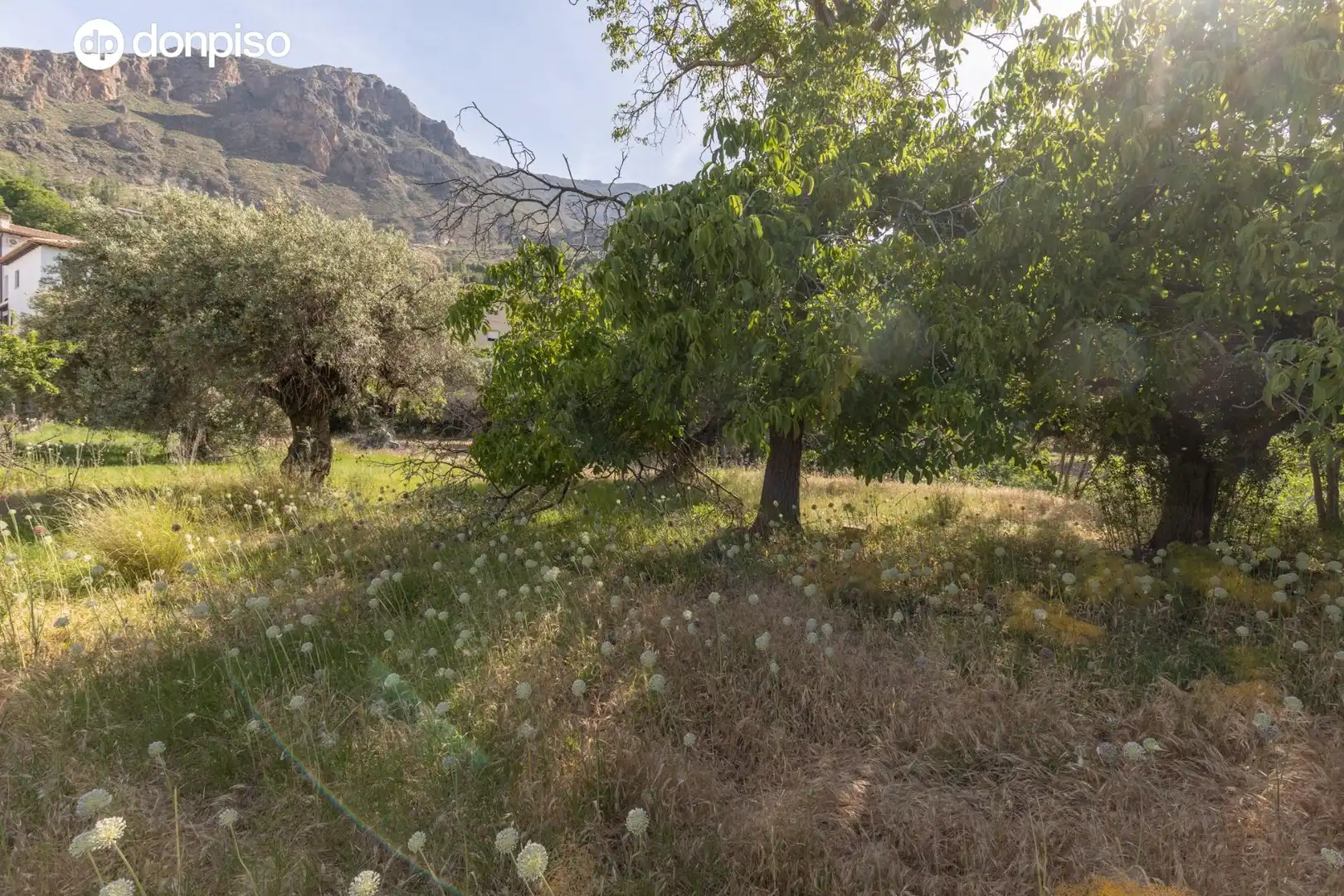 Lands and plots for sale in Carretera de Maitena, imagen 20