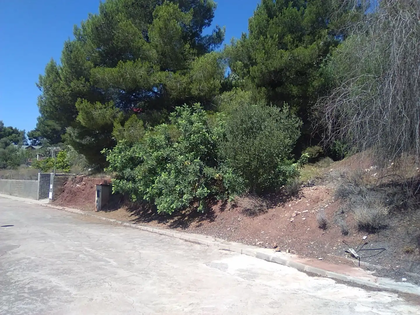 Rural land for sale in Torres Torres, imagen 2