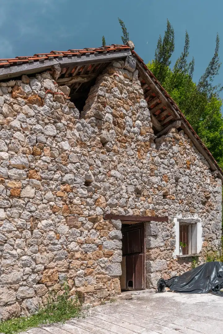 Vista exterior de Terreno en venta en Peñamellera Alta