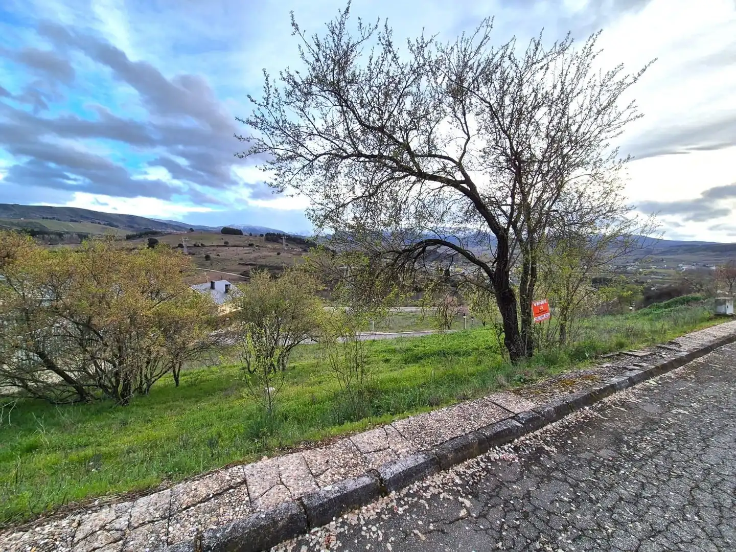 Terreni e lotti in vendita a Urbanización Patricia - Campo, imagen 11