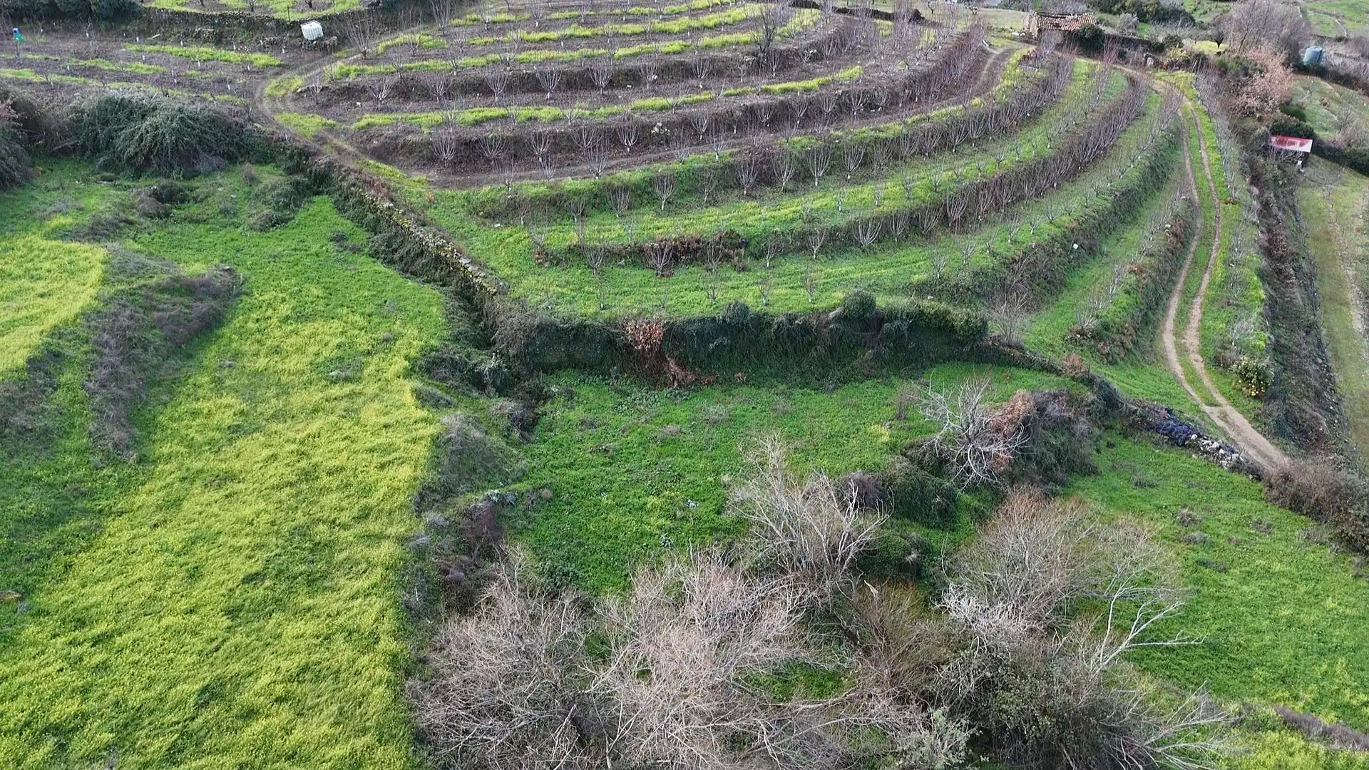 Land for sale in Casas del Castañar