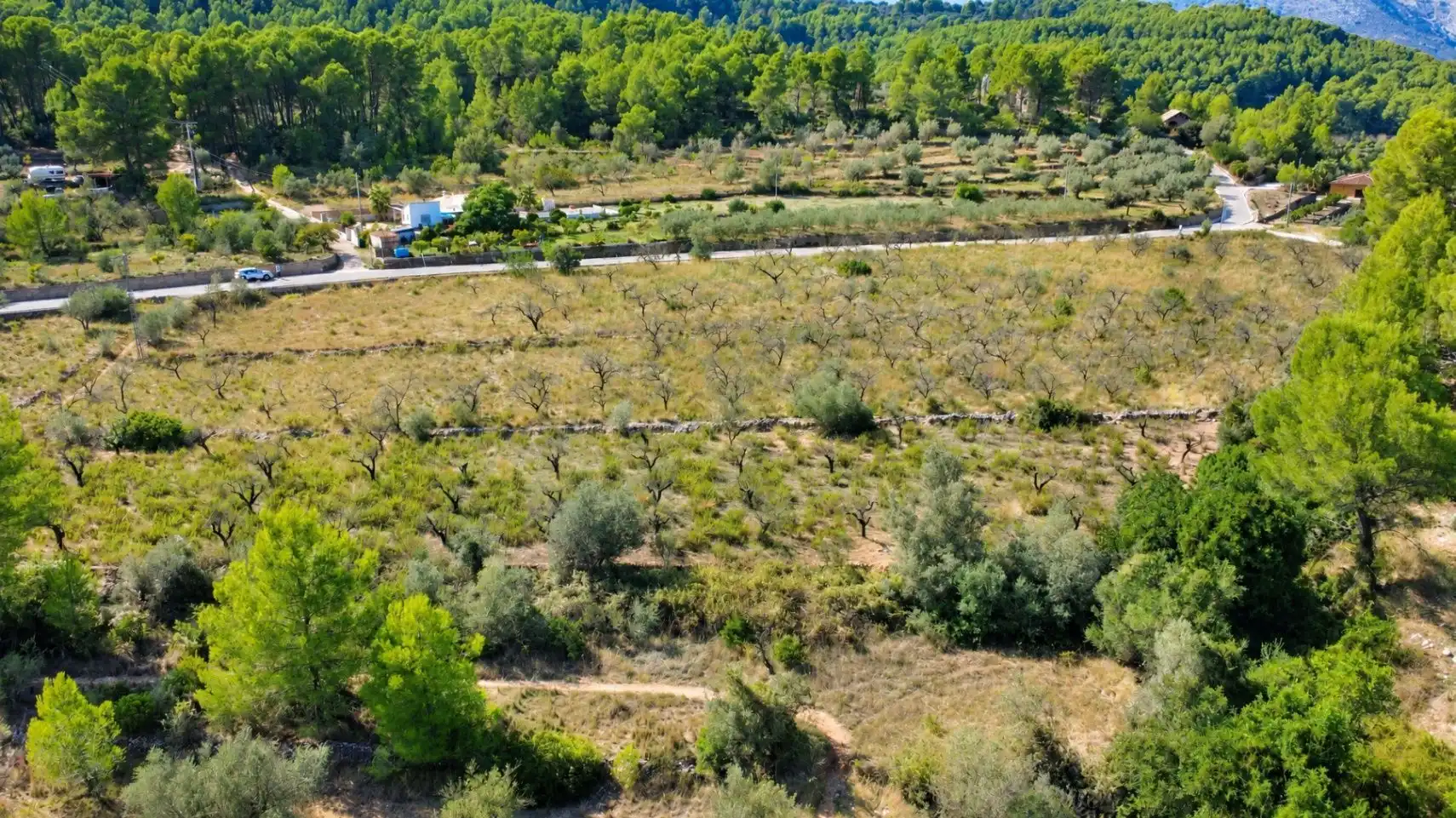 Terrenys i solars en venda a Murla, imagen 4