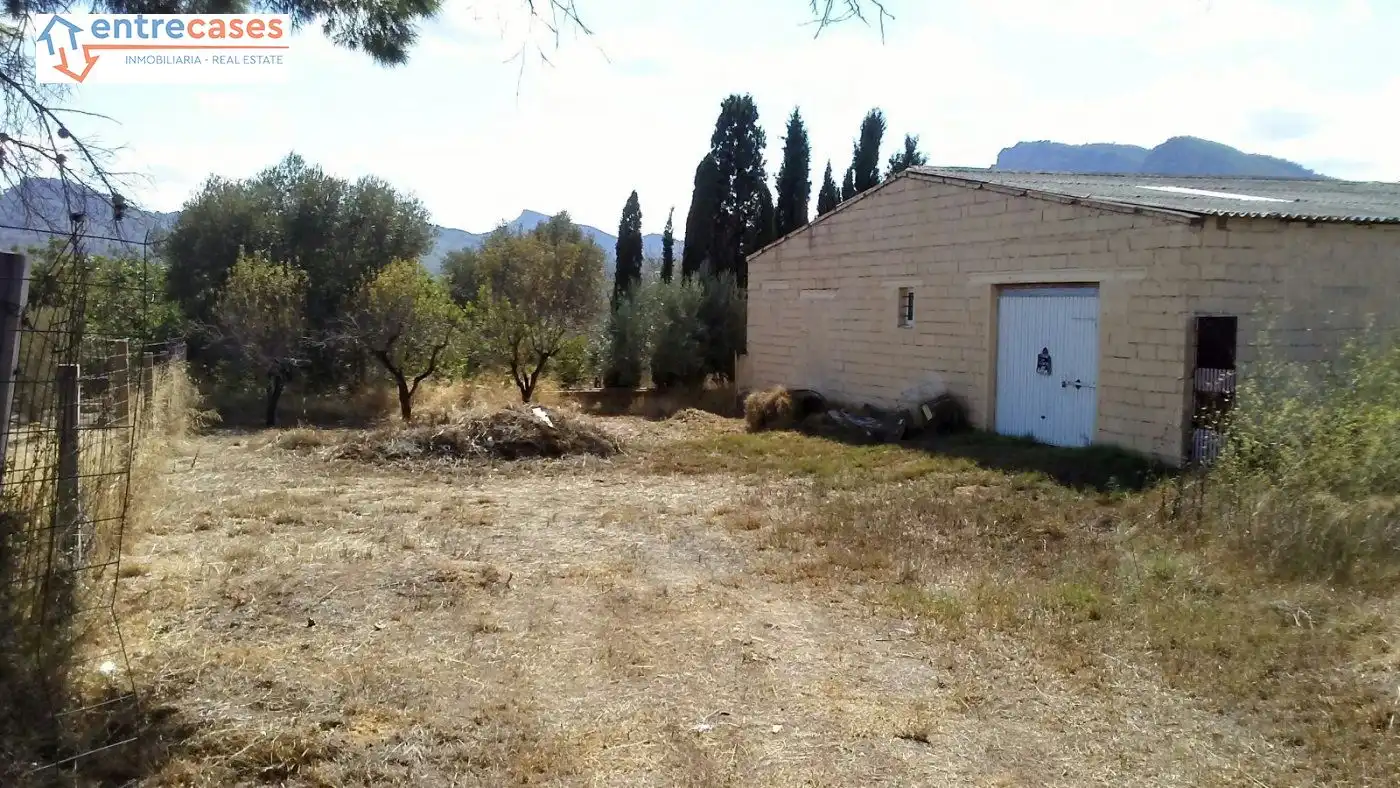 Rural land for sale in Albalat dels Tarongers, imagen 23