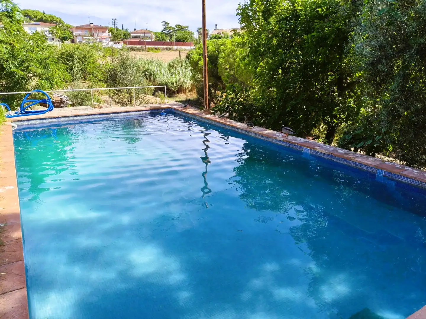 Villa avec piscine à vendre à Carrer Can Soberano, imagen 6