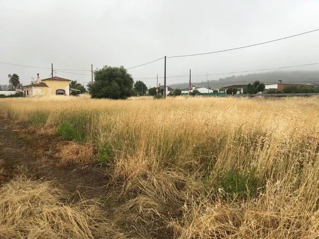 Terreni e lotti in vendita a Alcuéscar, imagen 2