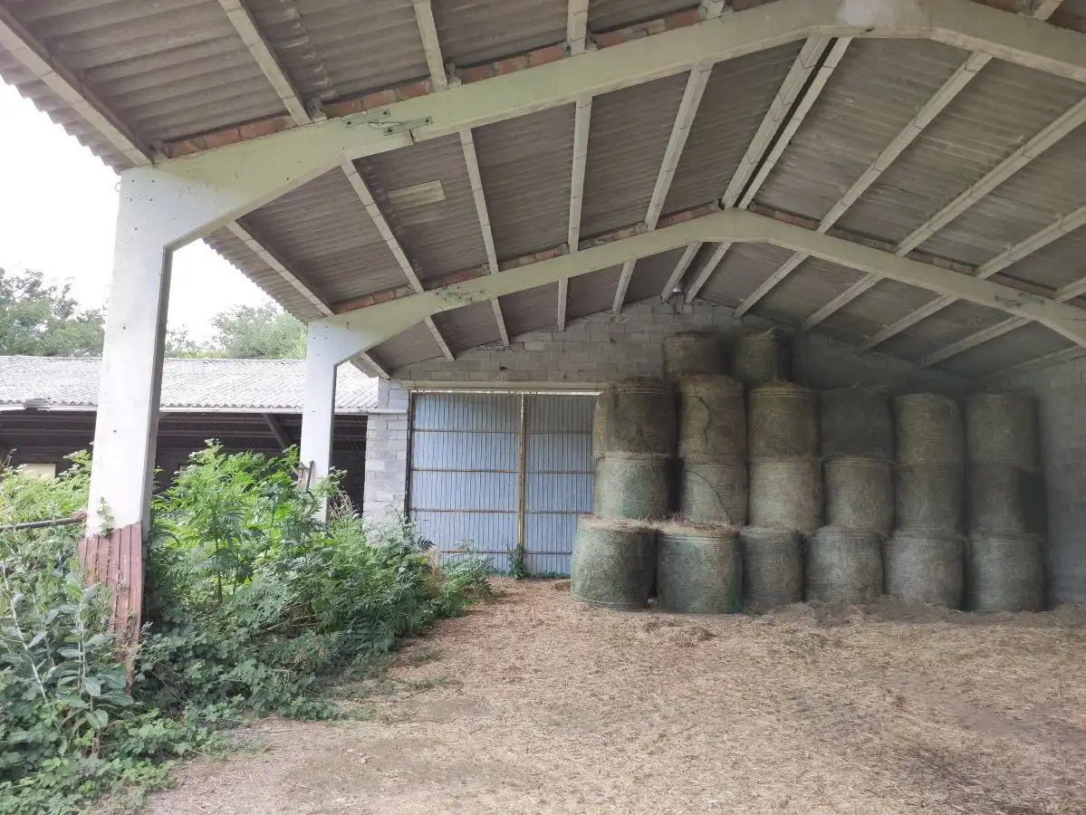 Vista exterior de Finca rústica en venta en Fiscal
