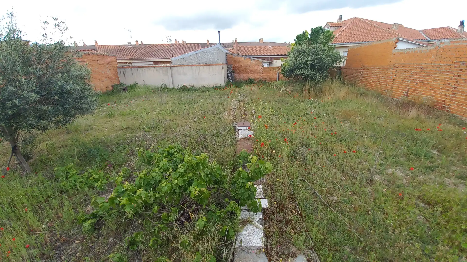 Casa o chalet en venta en Villaralbo