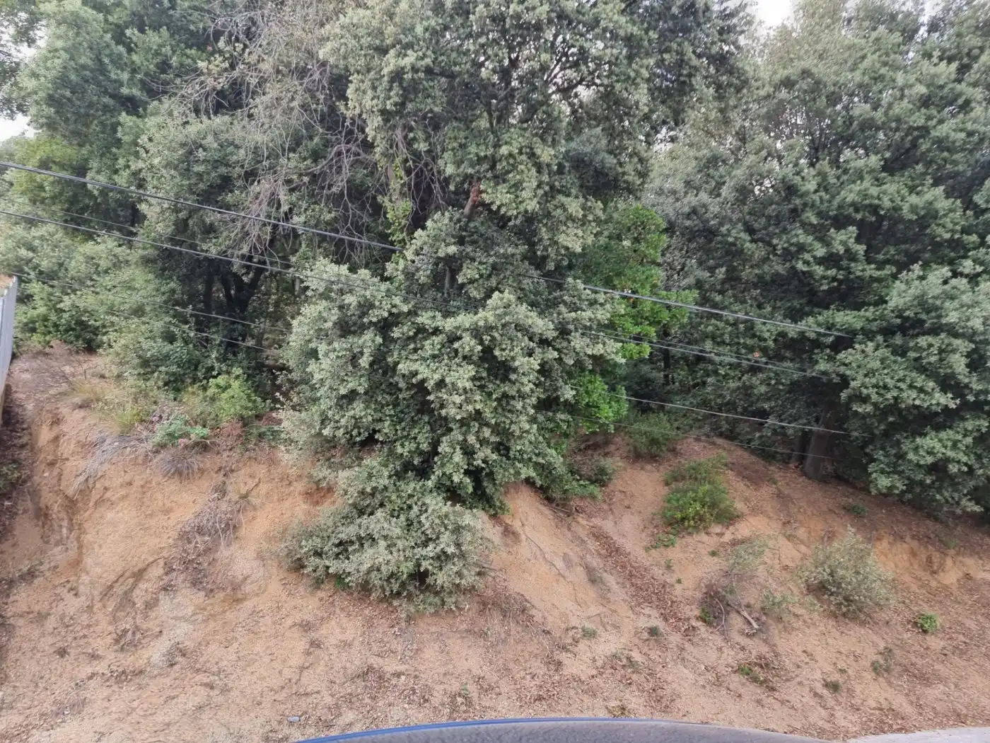 Lands and plots for sale in Calle MARGALLO, imagen 3