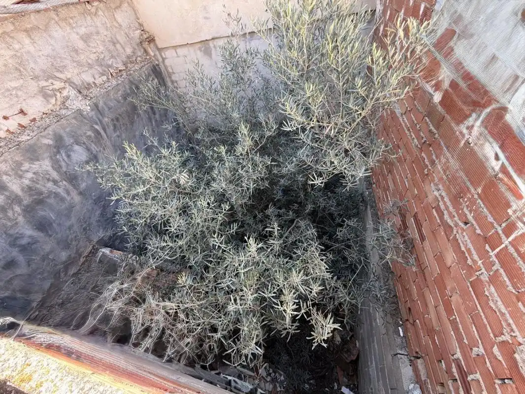 Jardín de Casa adosada en venta en Abanilla con Calefacción, Terraza y Trastero