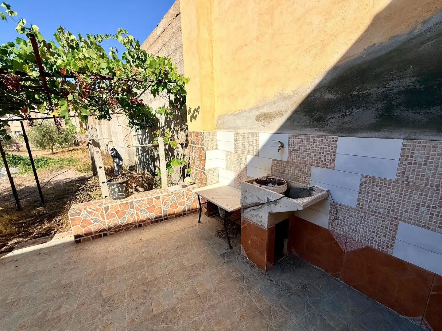 Terrassa de Casa o xalet en venda en Albox amb Jardí privat