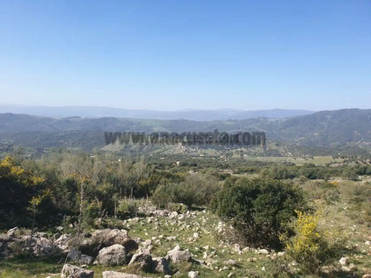 Residencial en venda a Casares, Málaga