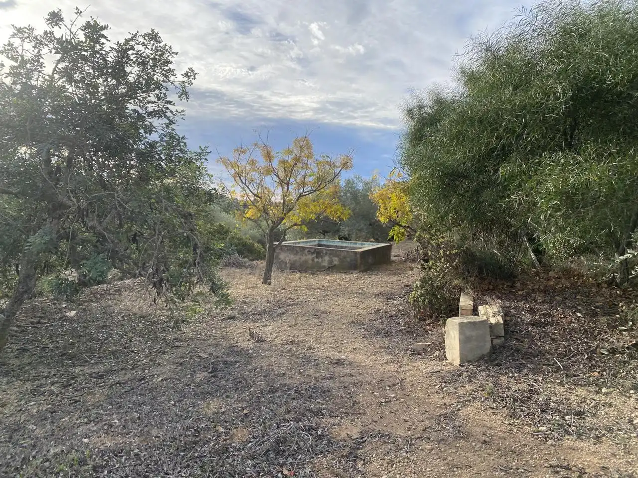 Terreno rustico in vendita a Partida Aguila, imagen 4