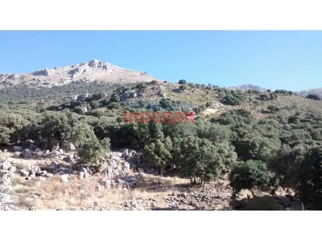 House for sale in Valdepeñas de Jaén, imagen 9