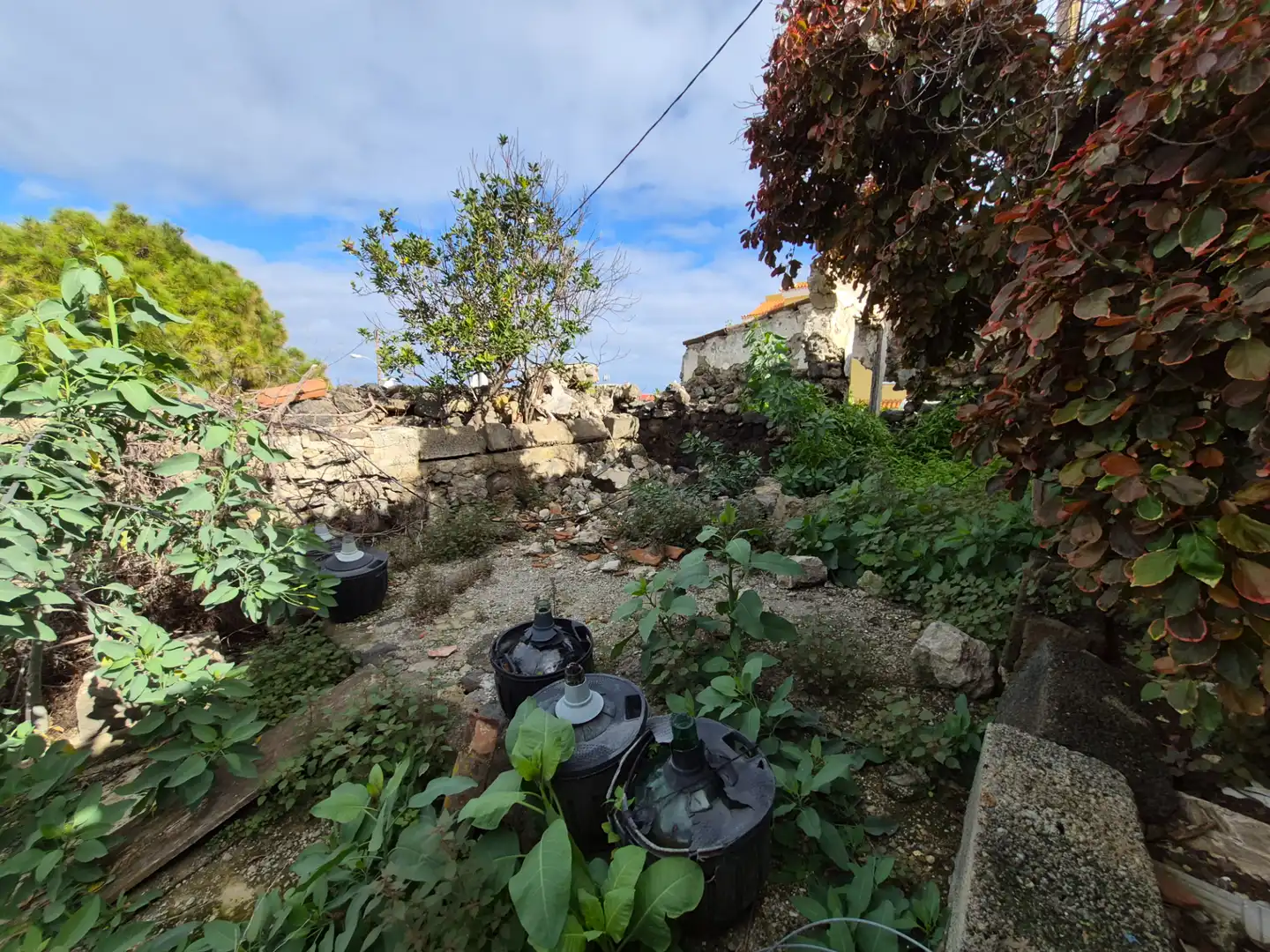Rural land for sale in Camino la Cueva del Rey, imagen 33