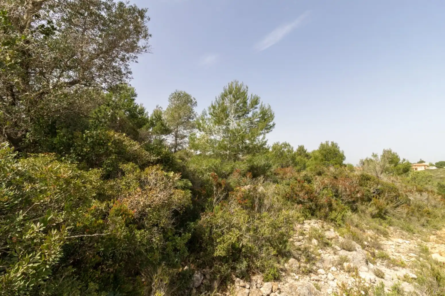 Rustikales Grundstück zum Verkauf in Monserrat - Montserrat - Calle de la malaguenya, imagen 7