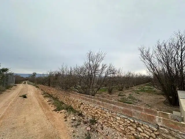 Terrenys i solars en venda a PDA PLANES DEL ROQUÍS POL 3 PARC. 47, imagen 9