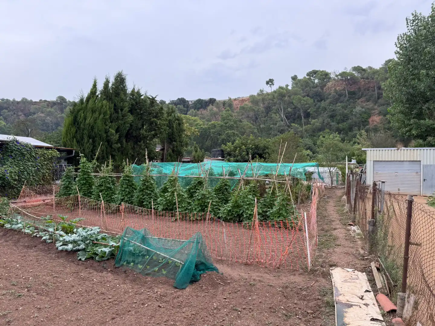 Jardín de Terreno en venta en Sabadell