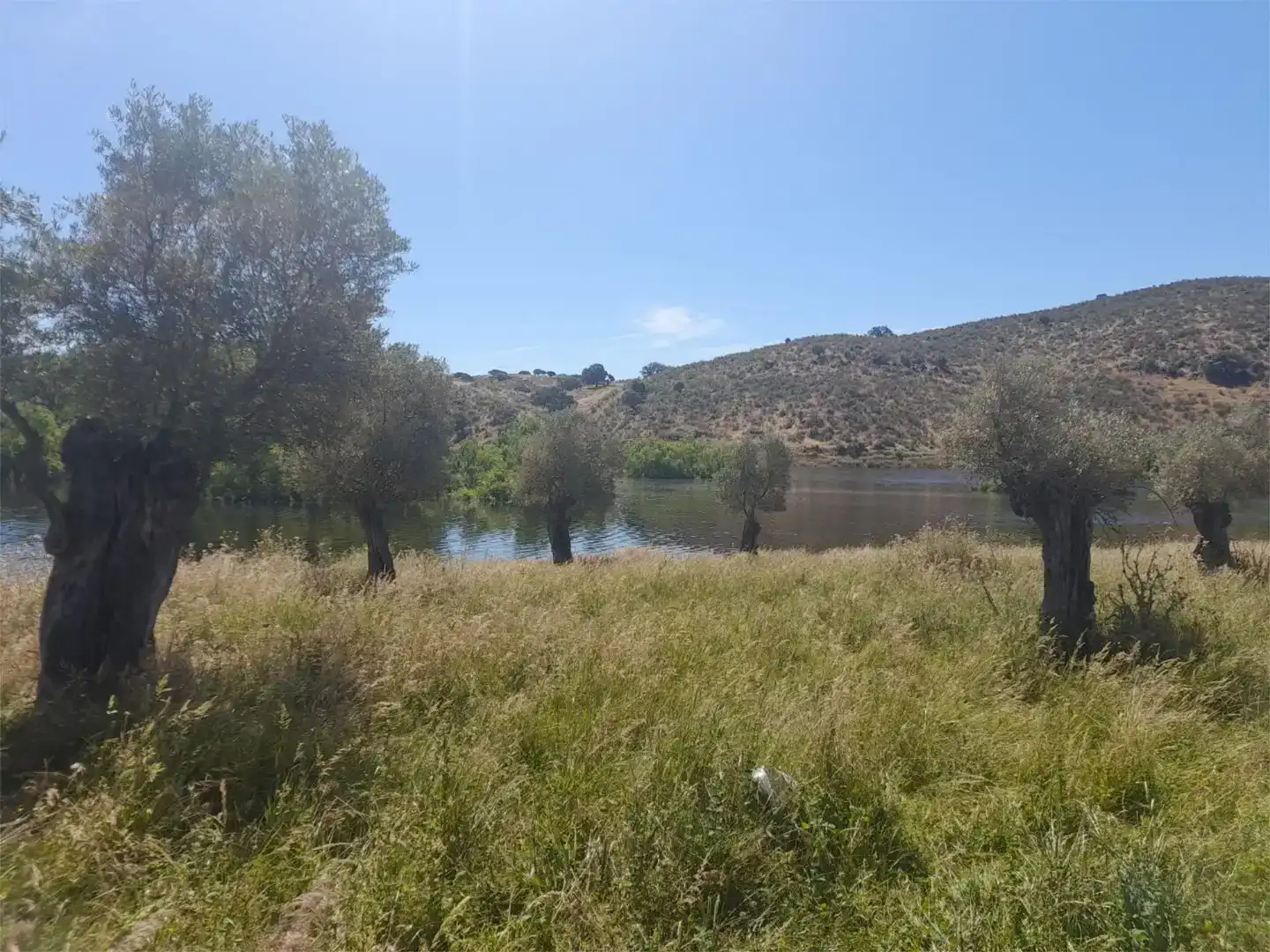 Terreno en venta en Casillas de Coria