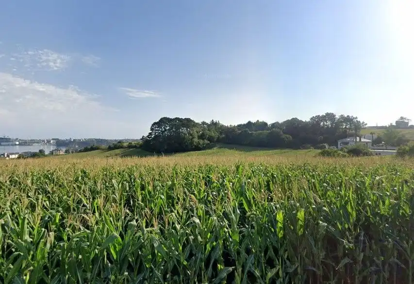 Grundstücke und Bauplätze zum Verkauf in Quintalonga, imagen 5
