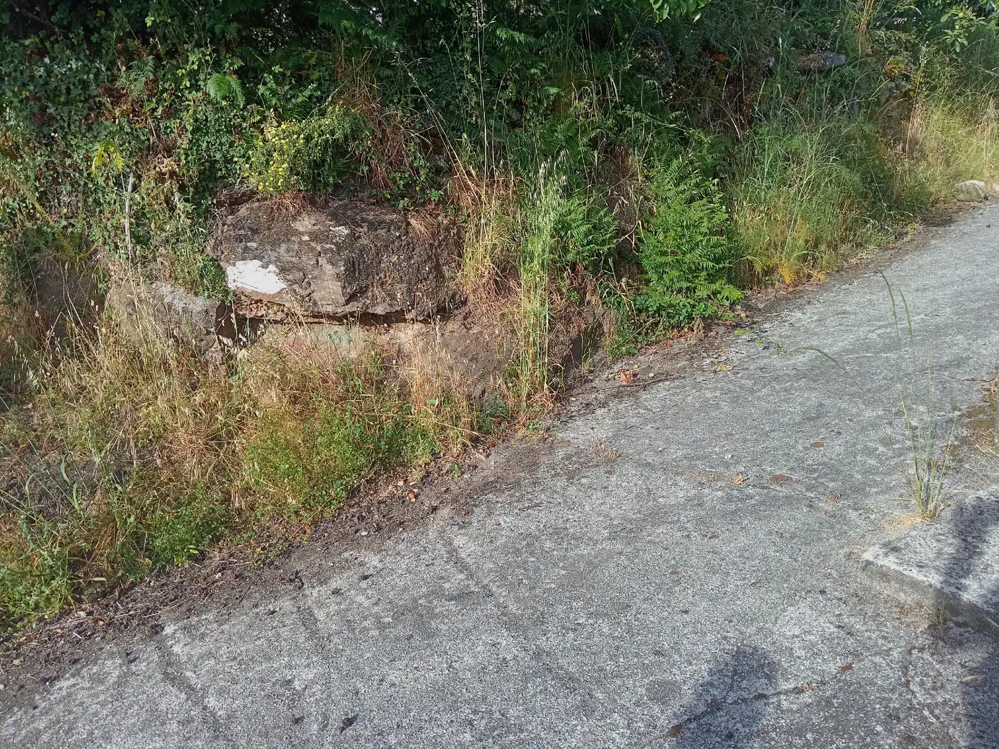 Rustikales Grundstück zum Verkauf in Carnota, imagen 21