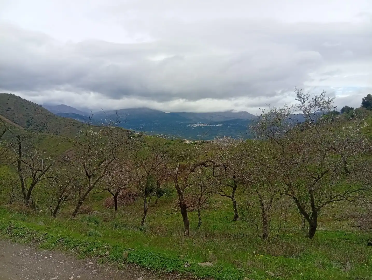 Terreni e lotti in vendita a Vélez-Málaga ciudad, imagen 15