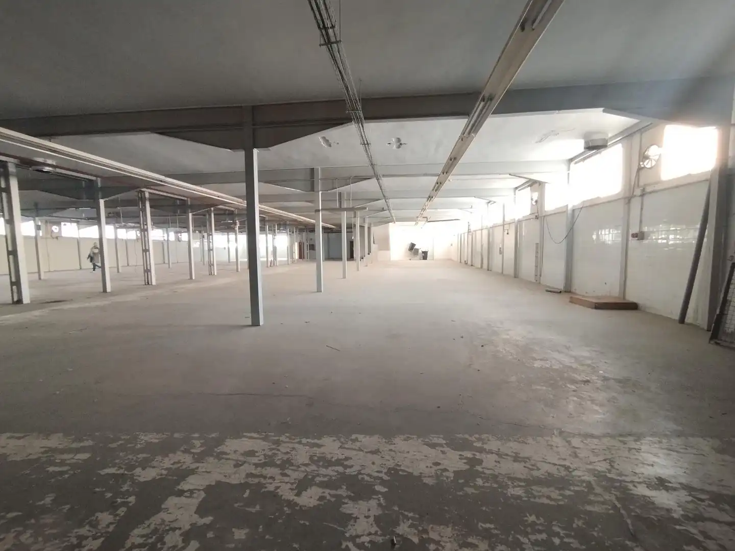 Nave industrielle à vendre à Elche ciudad, imagen 4