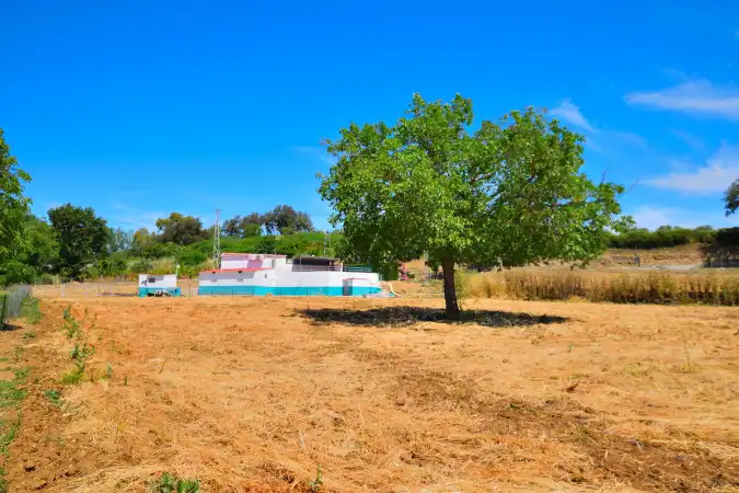 Casa rústica amb terrassa en venda a Partidas Norte, imagen 8