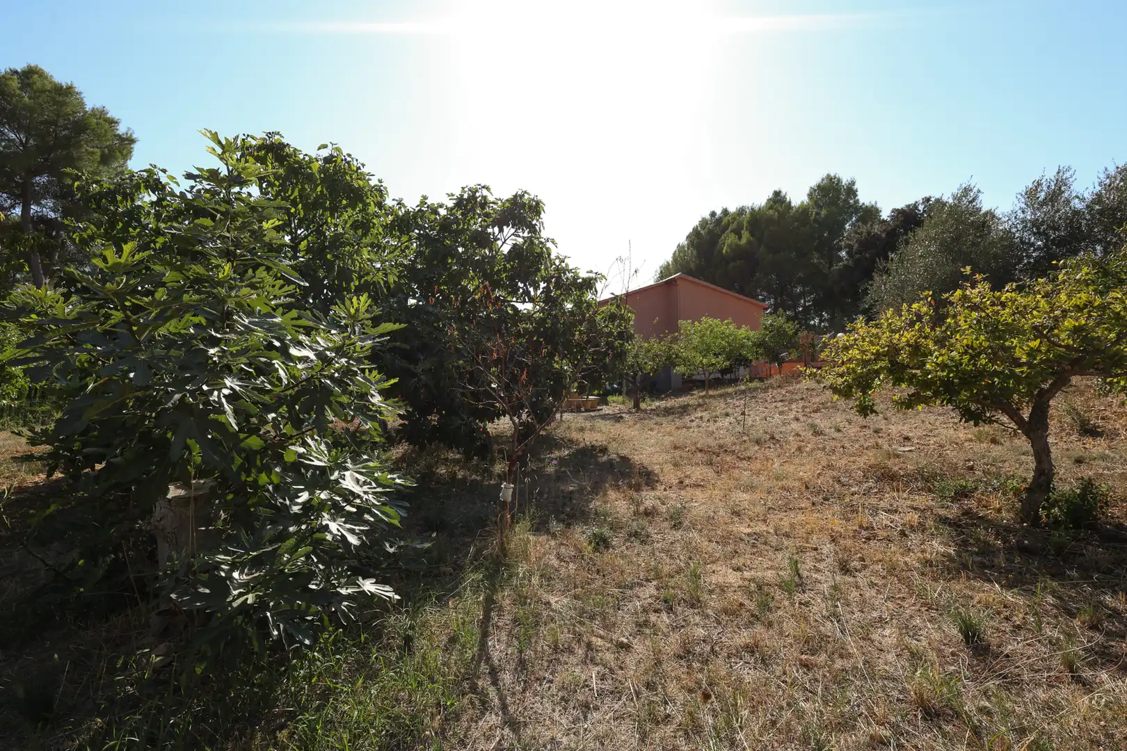 Terreno residencial en venta en Collbató, imagen 6