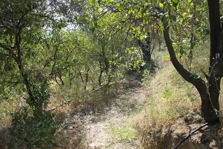 Terreni e lotti in vendita a Andalucía, imagen 8
