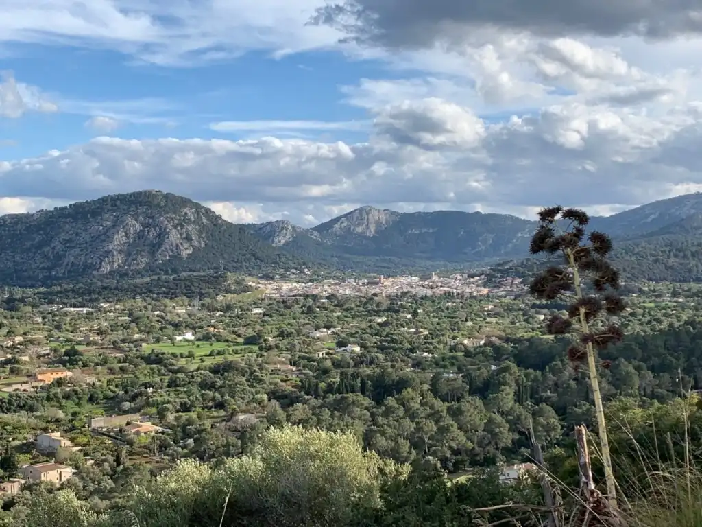 Rustikales Grundstück zum Verkauf in Pollença Poble, imagen 11