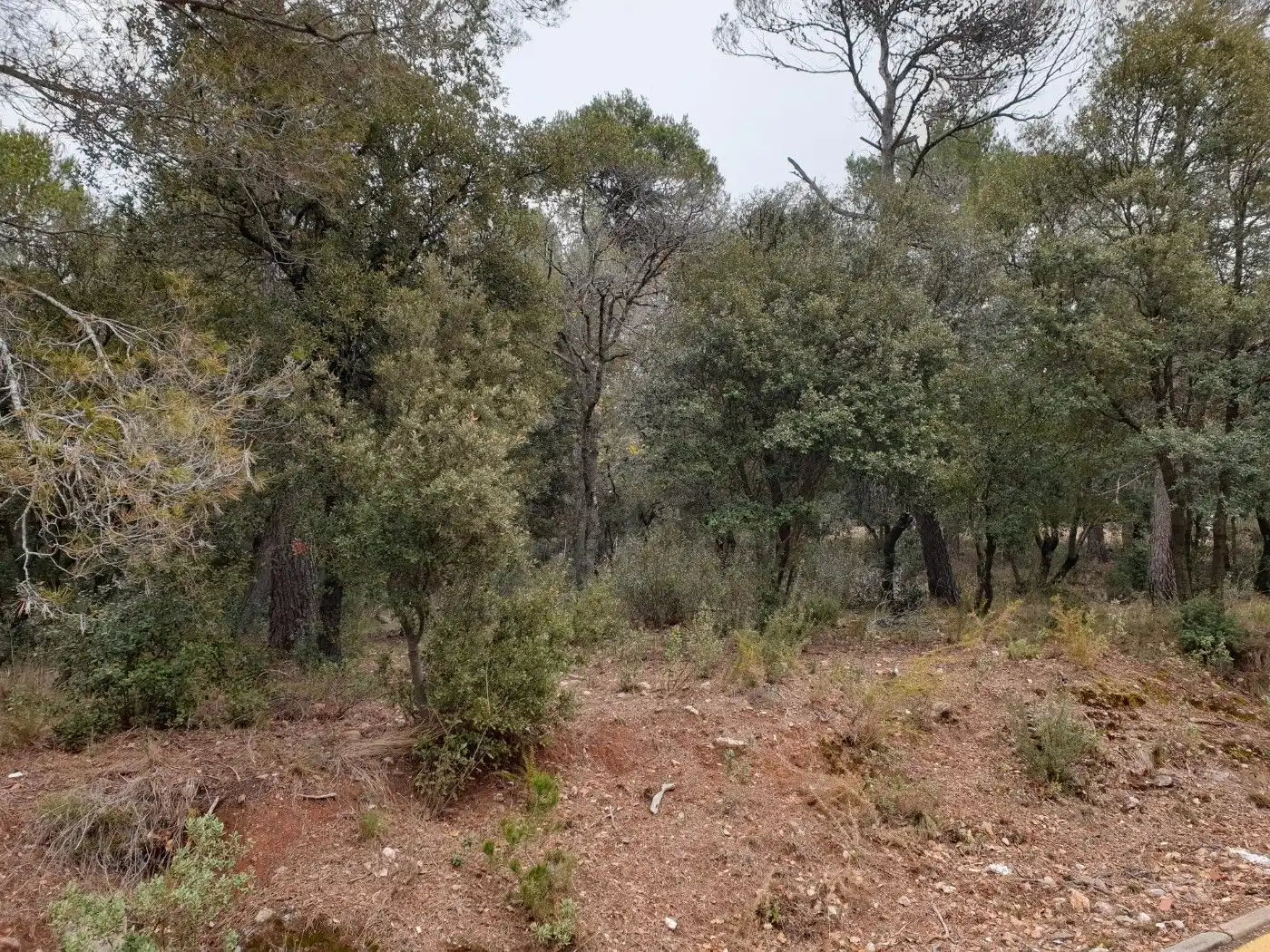 Terrain résidentiel à vendre à Matadepera, imagen 5