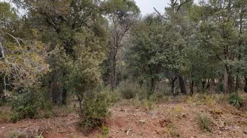 TERRENO QUE DA 2 CALLES!, immagine 5