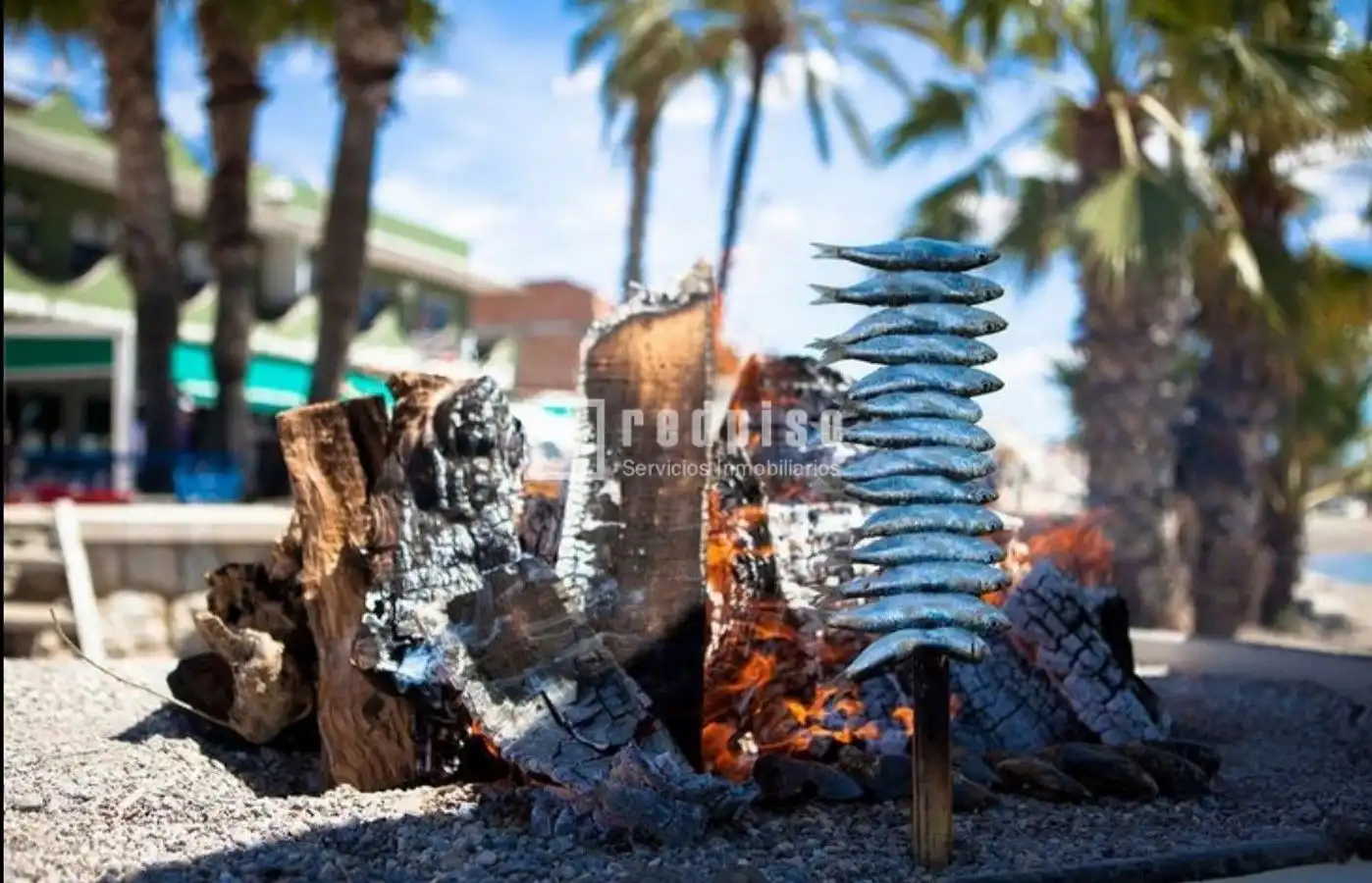 Local comercial de lloguer a Miramar del Palo, imagen 9