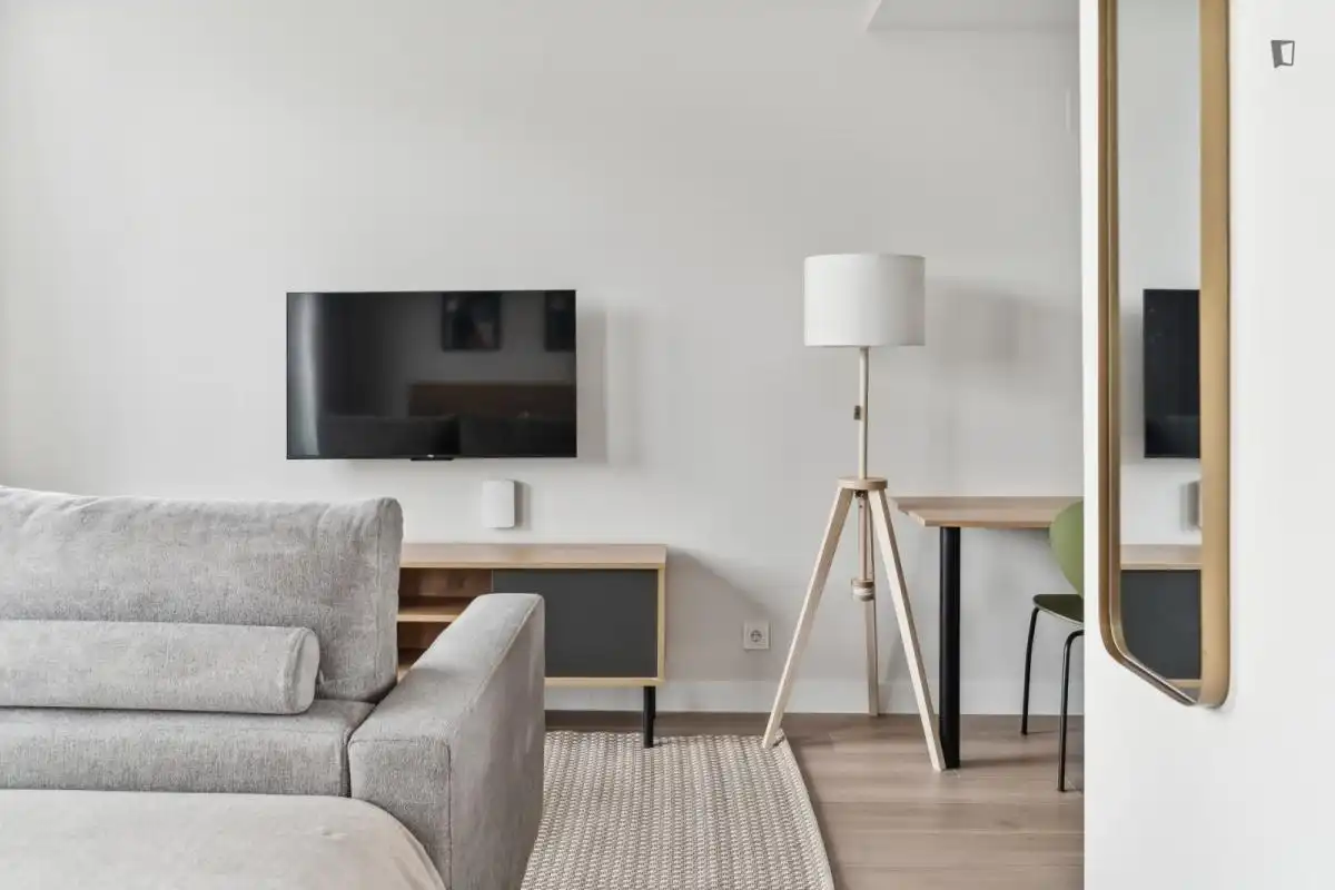 Sala de estar de Piso de alquiler en Madrid con Aire acondicionado, Amueblado y Internet