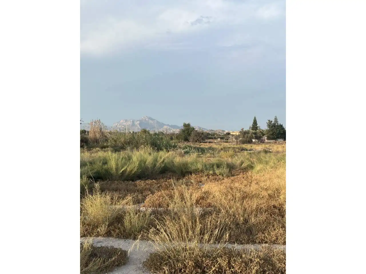 Finca rústica en venta en Mutxamel con Jardín privado