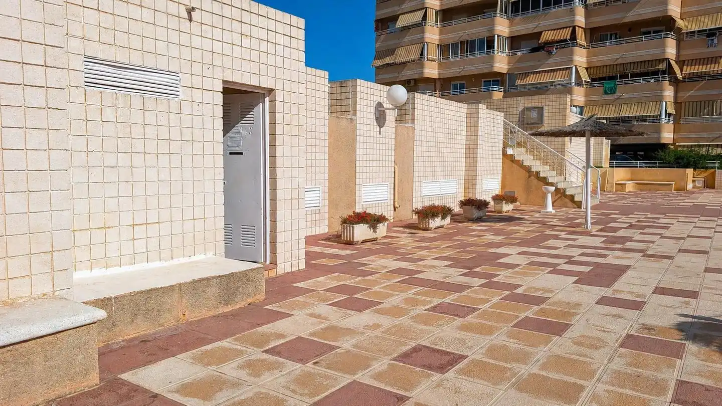 Exterior view of Detached homes for sale in Elche / Elx  with Terrace, Storage room and Swimming Pool