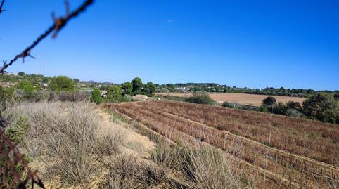 Foto 4 von Grundstücke zur Miete in N/a, Los Felipes - Corral de Carmelo, Chiva