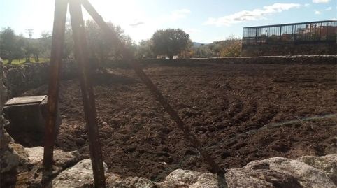 Foto 5 de Residencial en venta en Calle Fragua, Oliva de Plasencia, Cáceres