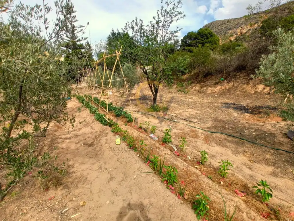 Finca rústica en venta en Calle Puchi, Campo Alto - Club de Campo