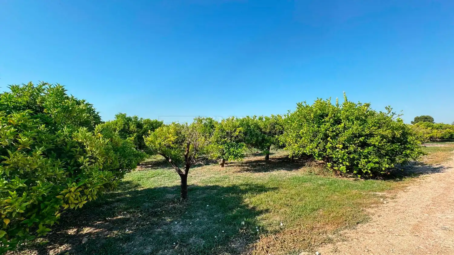 Finca rústica en venda en Redován