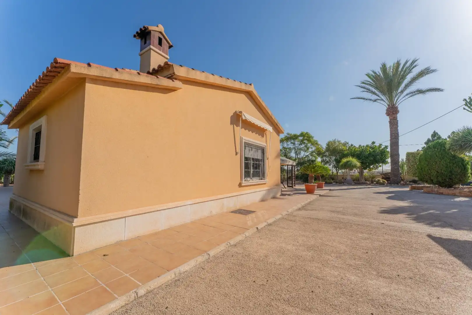 Vista exterior de Casa o chalet en venta en Elche / Elx con Trastero, Piscina y Balcón