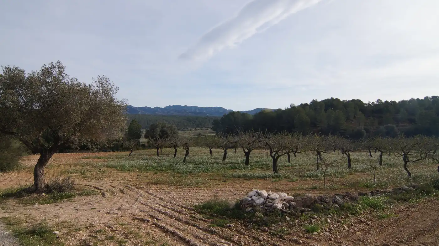 Terrain rustique à vendre à Rasquera, imagen 25