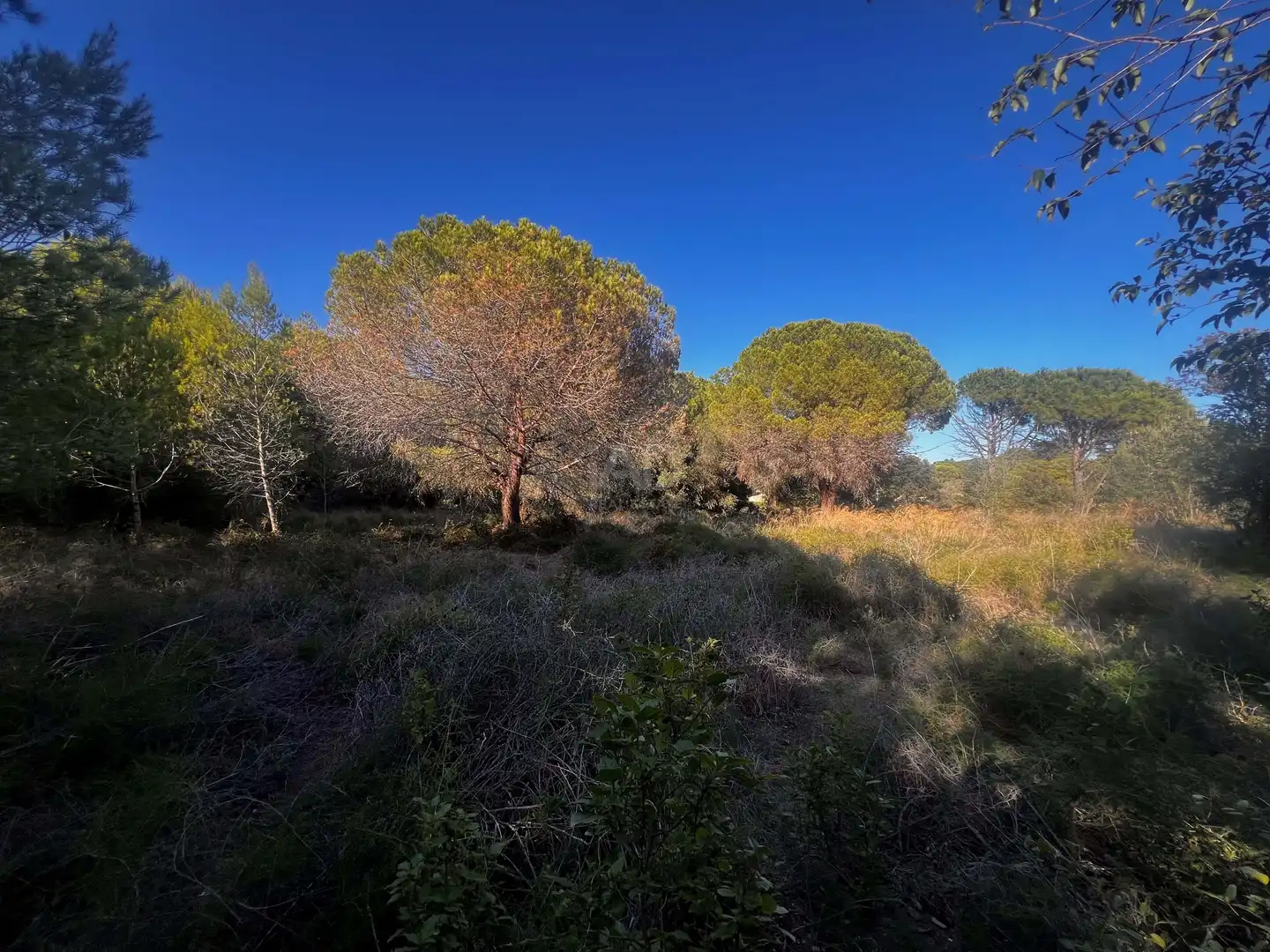 Residencial en venda en Palamós
