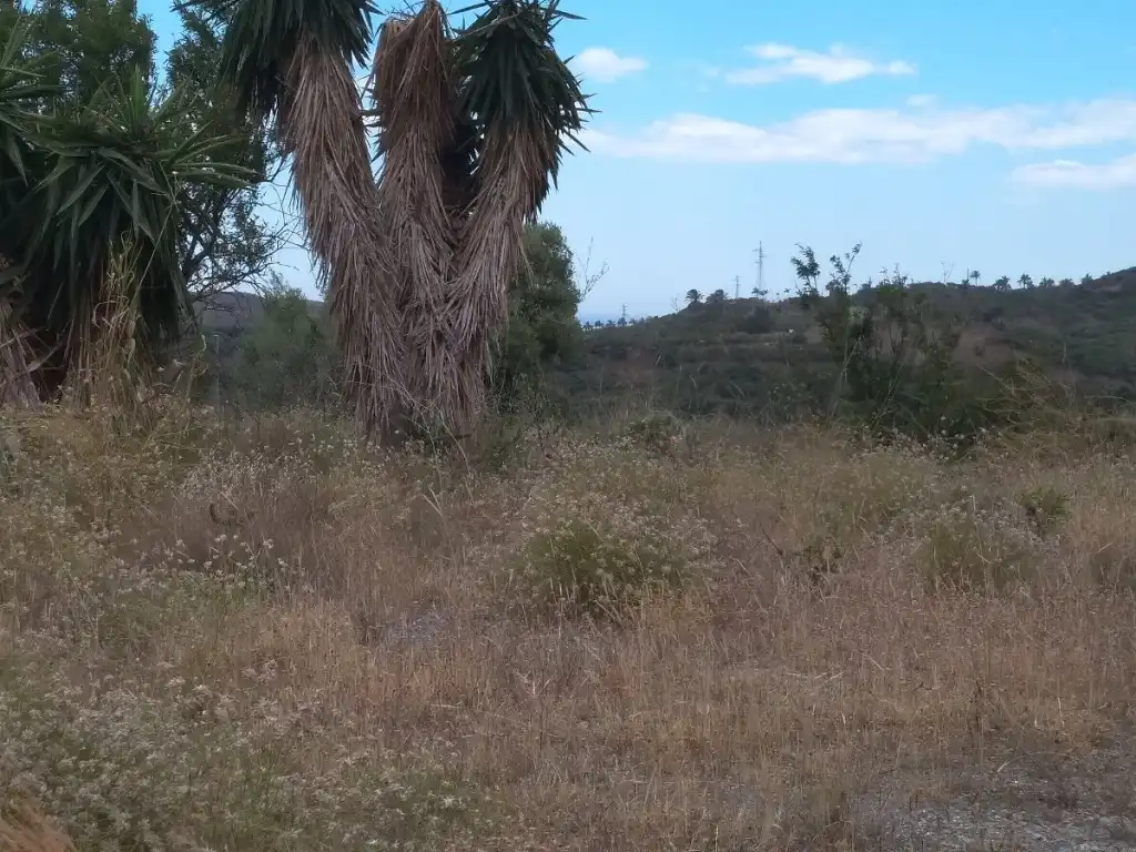 Rural land for sale in Almayate, imagen 8